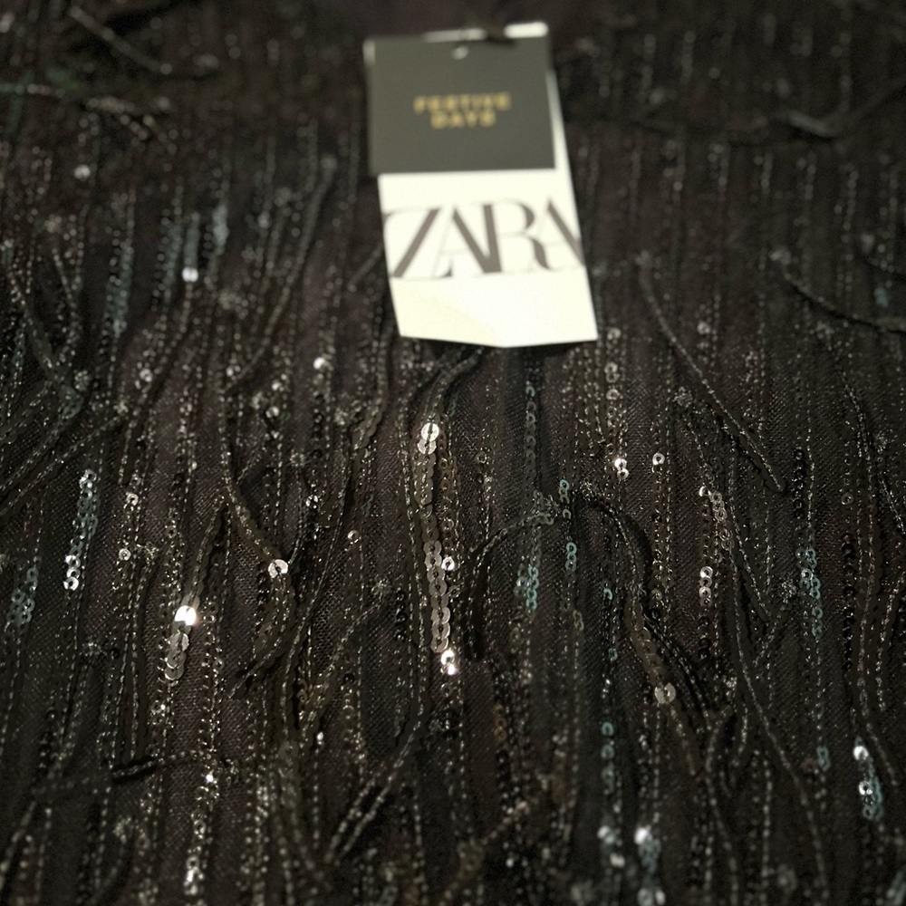 Zara Black Sequin Fringed Mini Dress
Short Sleeve Dress - Picture 10 of 11